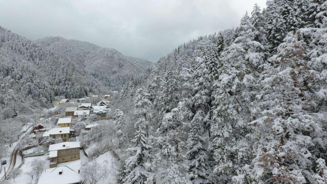 Serenity Likani Villa Hotel Borjomi Exterior foto