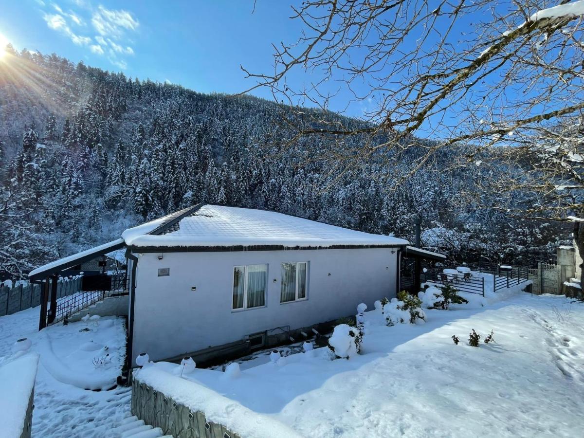 Serenity Likani Villa Hotel Borjomi Exterior foto