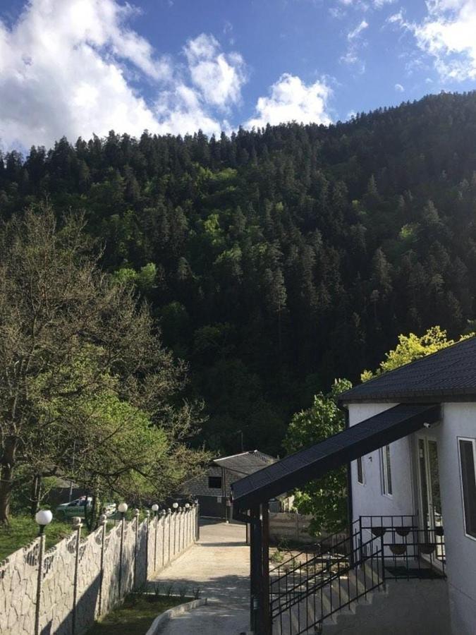 Serenity Likani Villa Hotel Borjomi Exterior foto