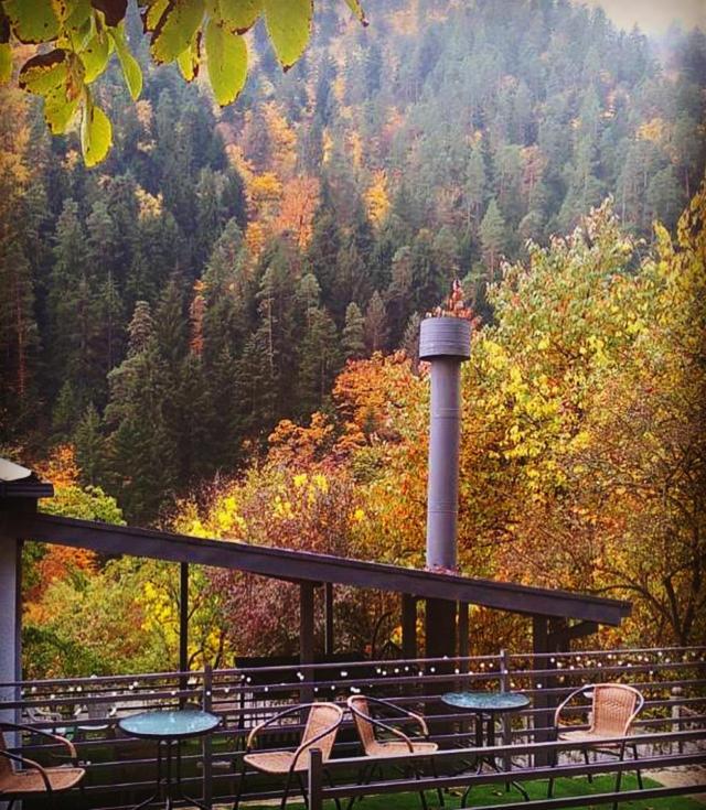 Serenity Likani Villa Hotel Borjomi Exterior foto