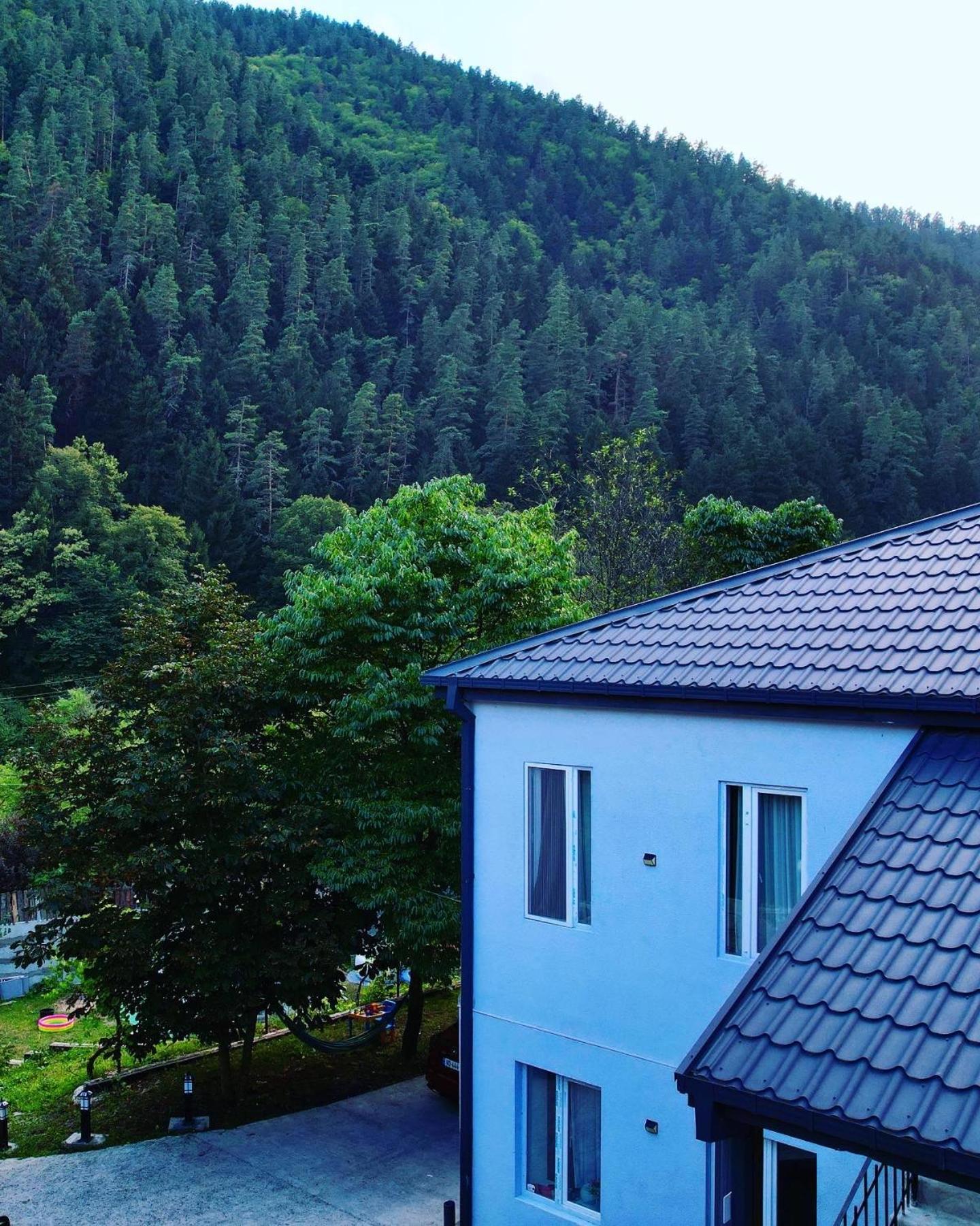 Serenity Likani Villa Hotel Borjomi Exterior foto